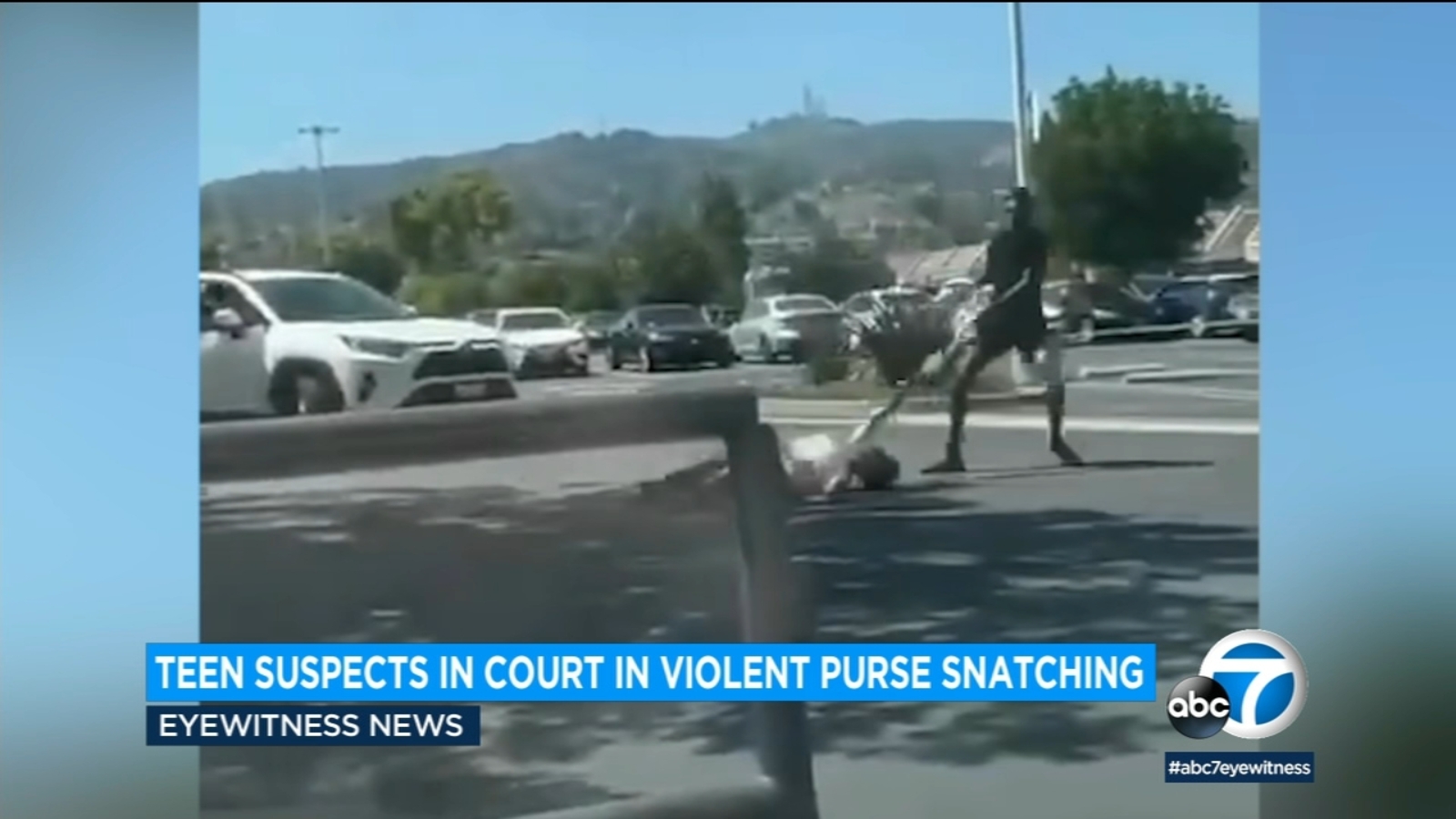 Handbag Snatcher 2 teens plead not guilty to violent purse-snatcher robbery in Hacienda ...