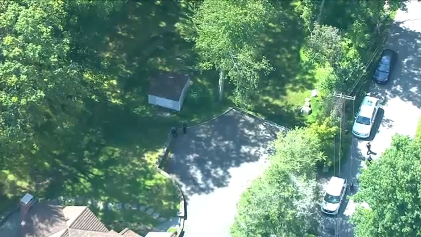 North Castle, NY bear attack: 7-year-old boy attacked by bear in Westchester County - Vimarsana News