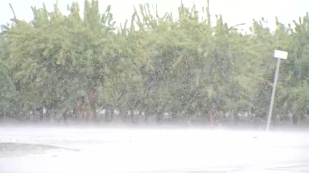 North Valley farmers protect crop from storm