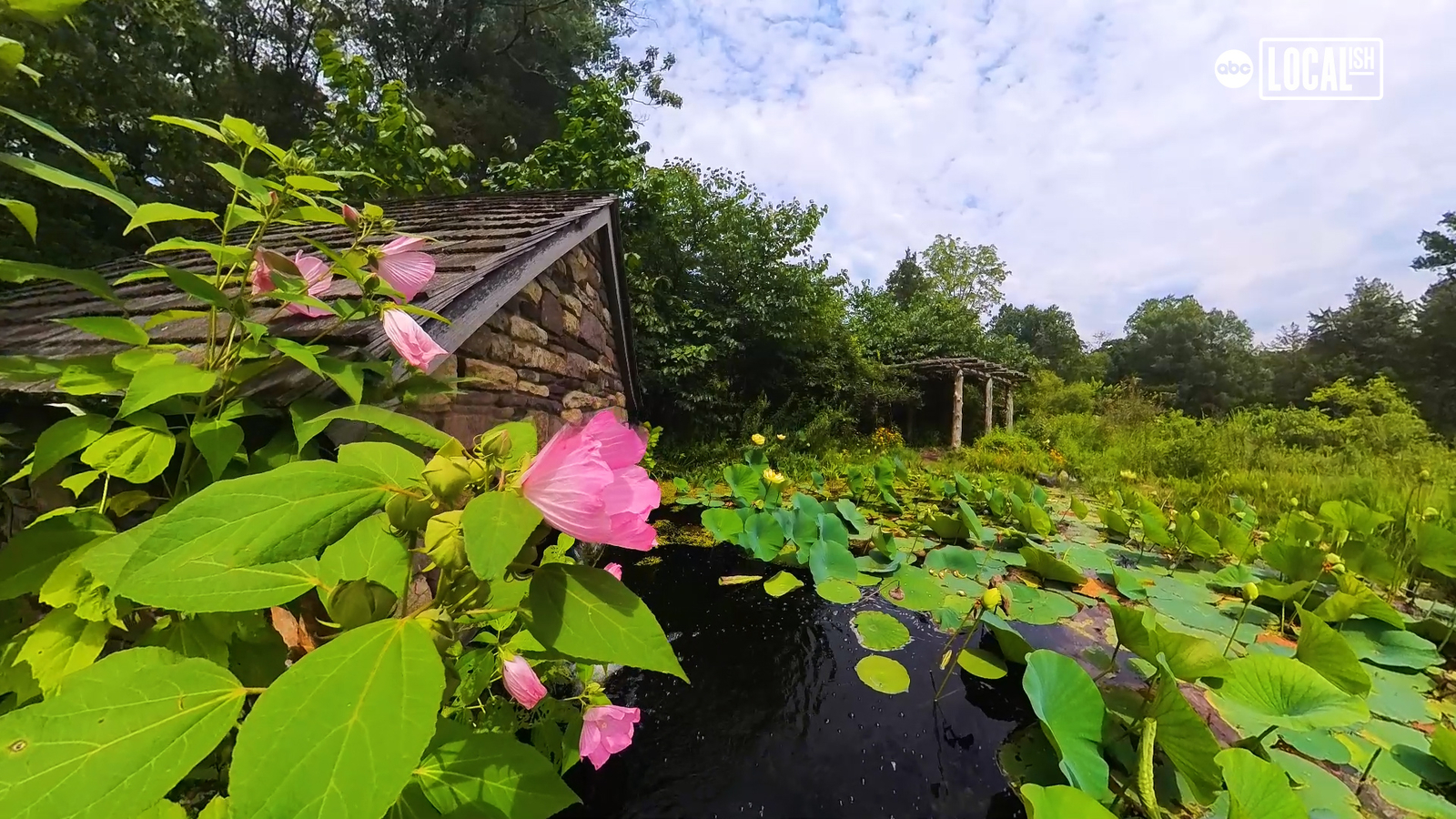 Bowmans Hill Wildflower Preserve is a nature lovers paradise in Pennsylvania