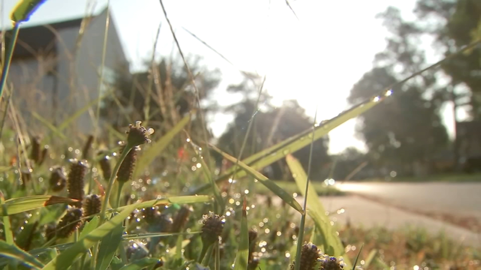 Houston water conservation: City rescinds mandatory watering restrictions, returns to Stage 1 of Drought Contingency Plan - Vimarsana News