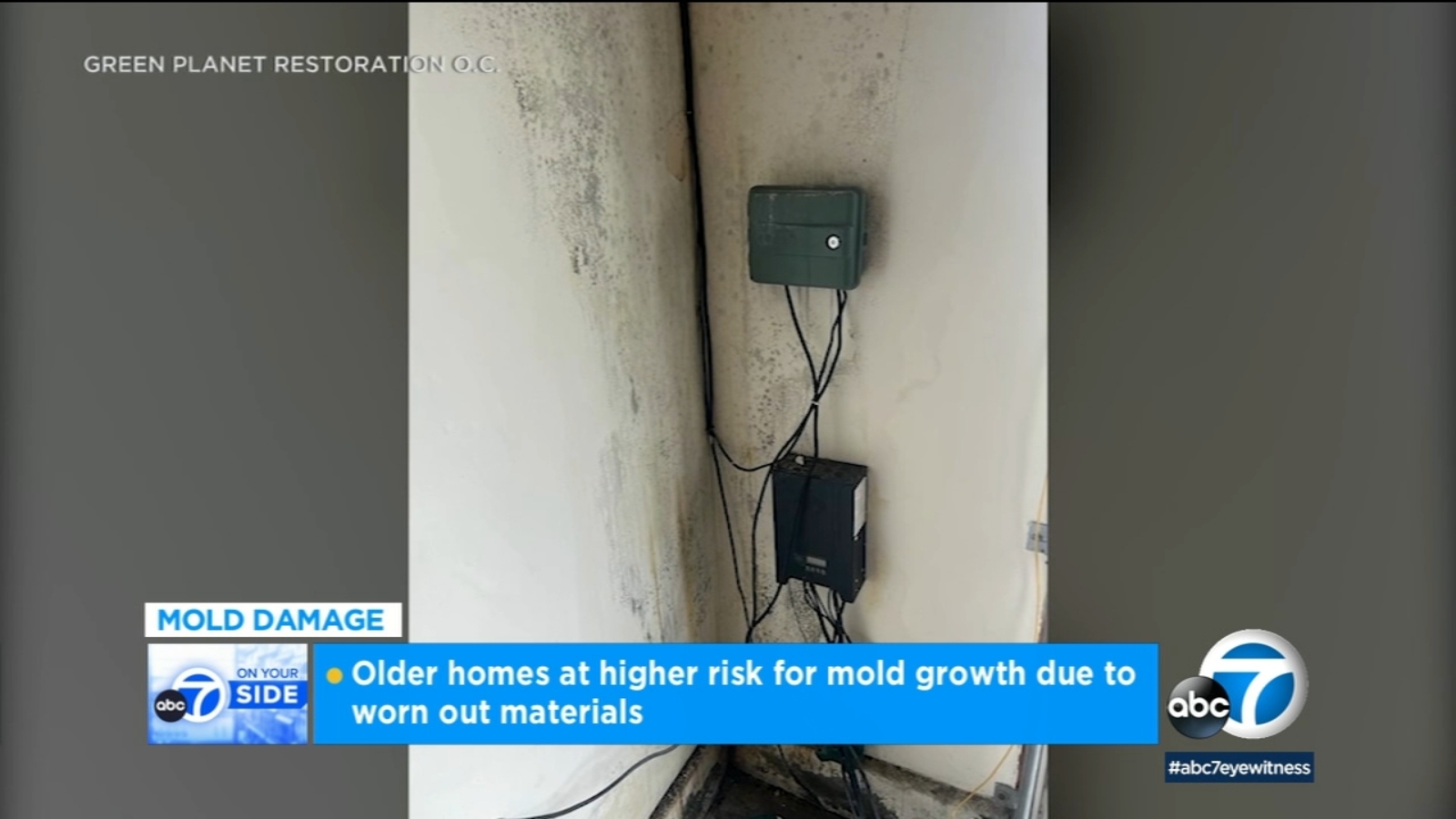 What to know about mold damage and how to spot it in your home after