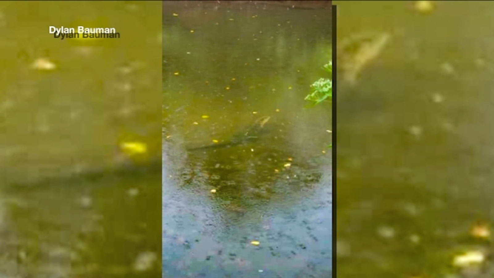 Victor Crowell Park in Middlesex, New Jersey closed to the public as police search for an