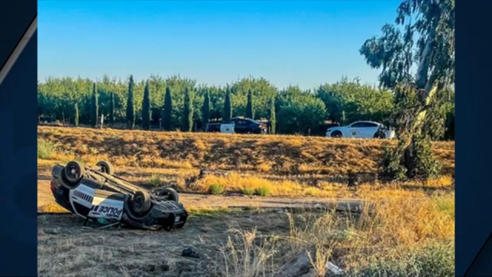 Selma police officer crashes car off side of Highway 99, CHP says