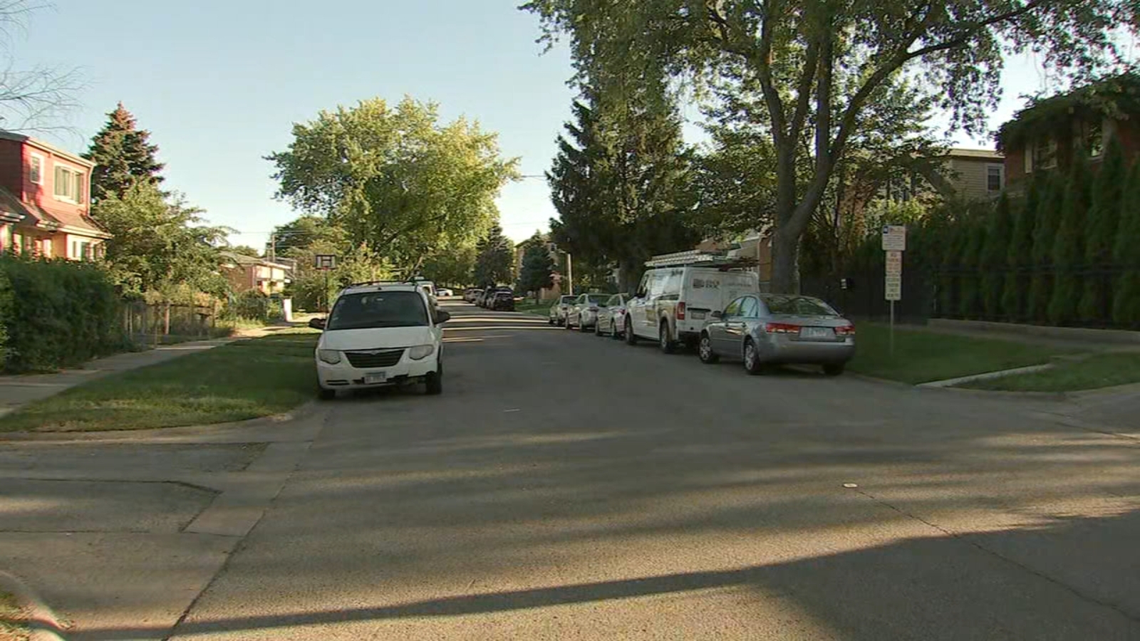 Woman 61 found lying in street after being beaten carjacked in Harwood Heights