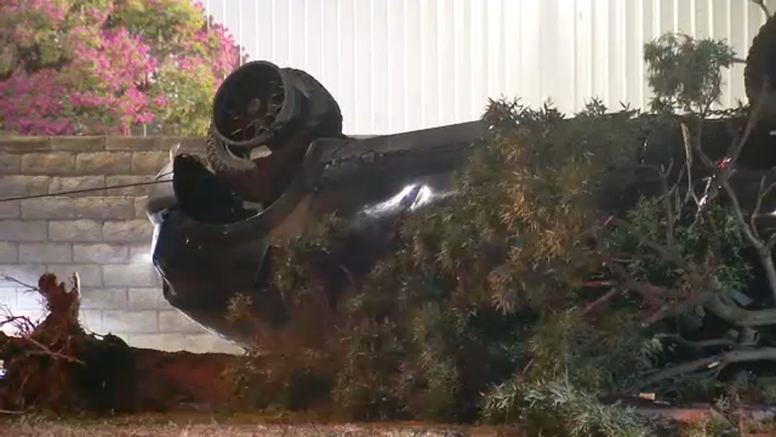 2 hospitalized after truck crashes into tree in Clovis, officials say ...