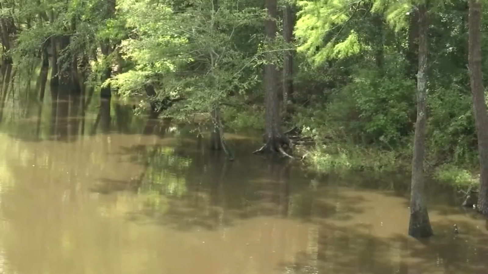 Tracking Idalia North Carolina | Minimal impact in Fayetteville from Tropical Storm Idalia, but Lumber River could still flood - Vimarsana News