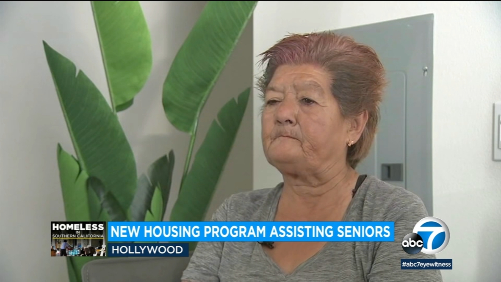 New housing complex in Hollywood welcomes nearly 60 seniors, part of efforts to address homelessness New housing complex in Hollywood welcomes nearly 60 seniors, part of efforts to address homelessness