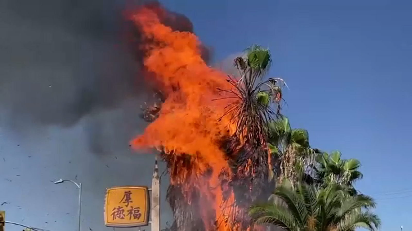 Palm trees catch fire outside of vacant restaurant in central Fresno - Vimarsana News