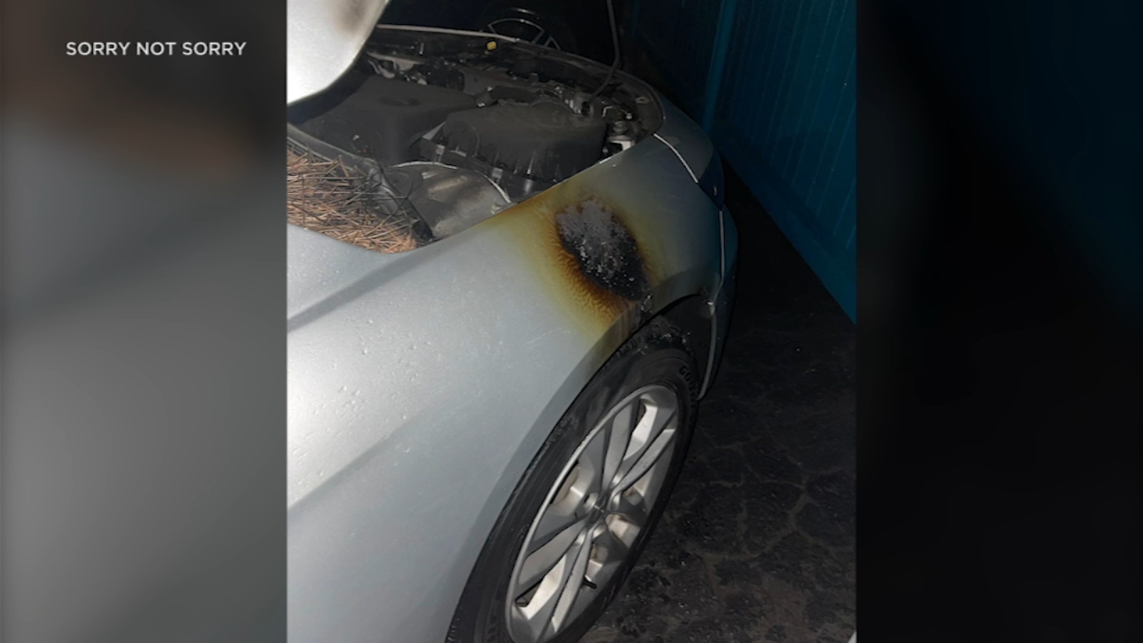 LGBTQ+ friendly restaurant Sorry Not Sorry in Los Angeles attacked by vandals, arsonist - Vimarsana News