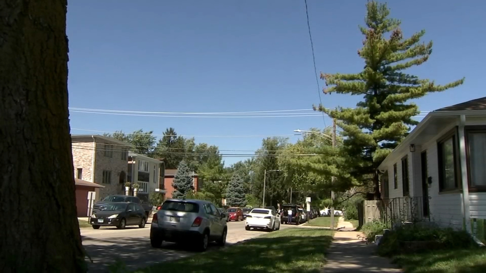 Woman dies after being ziptied beaten during Harwood Heights carjacking medical examiner