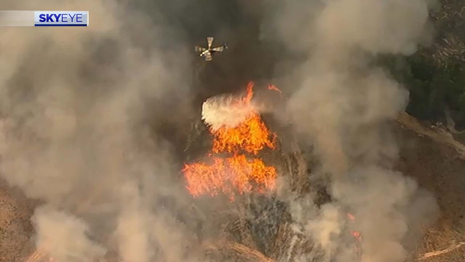 Walker County wildfire day 3: Florida Forest Service assists firefighters battling Game Preserve fire north of Huntsville - Vimarsana News