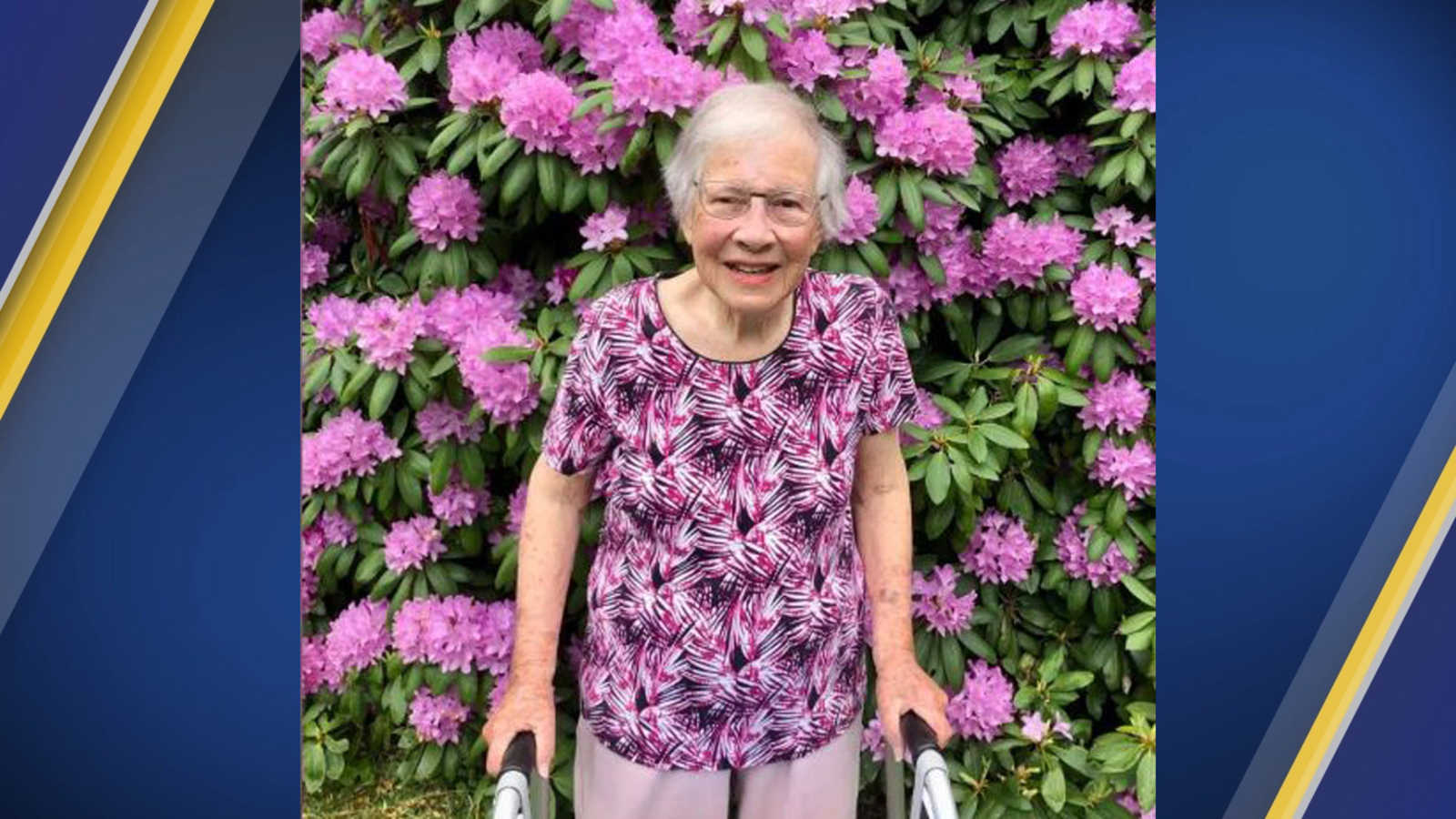 North Carolina woman with huge, decades-old rhododendrons celebrates her 100th birthday - Vimarsana News