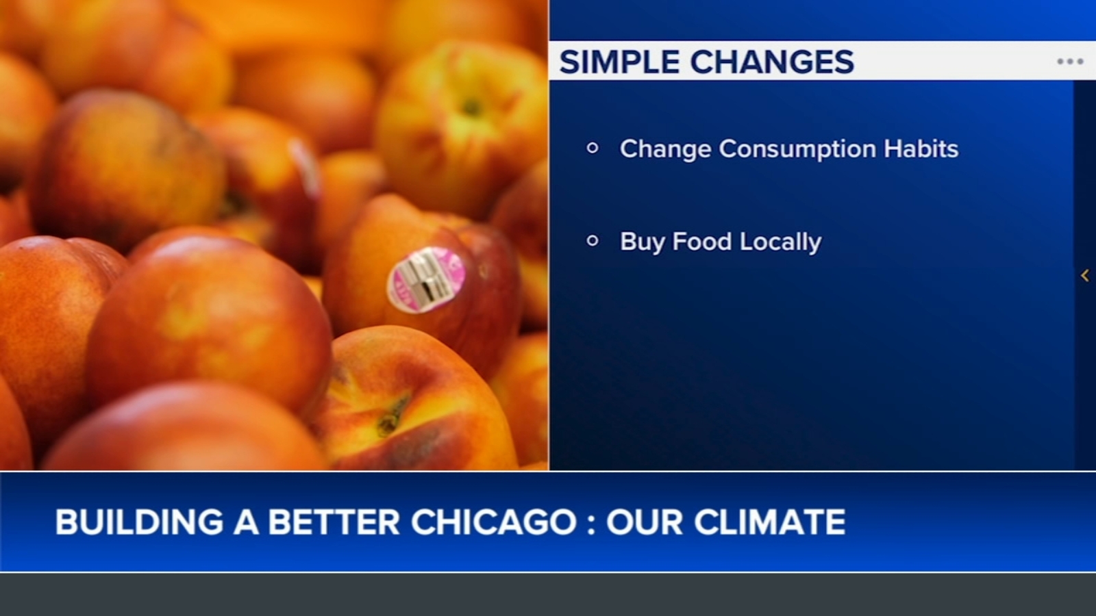 Climate Change Solutions ABC Chief Meteorologist Ginger Zee, ABC7 Meteorologist Tracy Butler