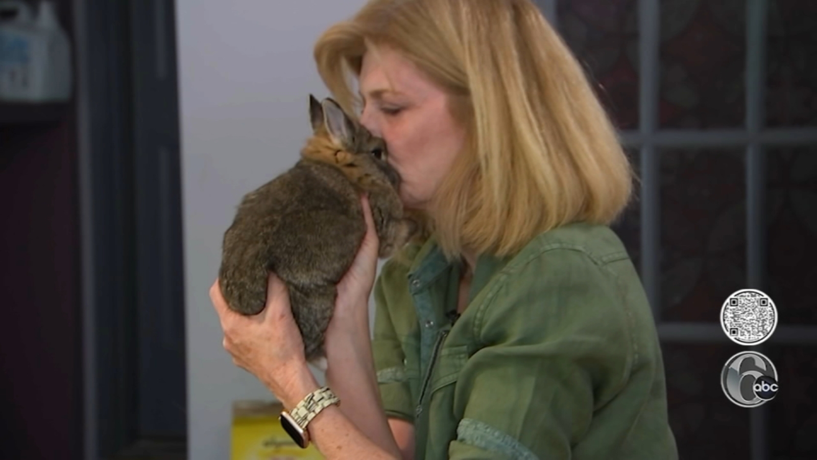 Tribbles Rabbit Rescue, Bunny Cafe help rabbits find a new home 6abc