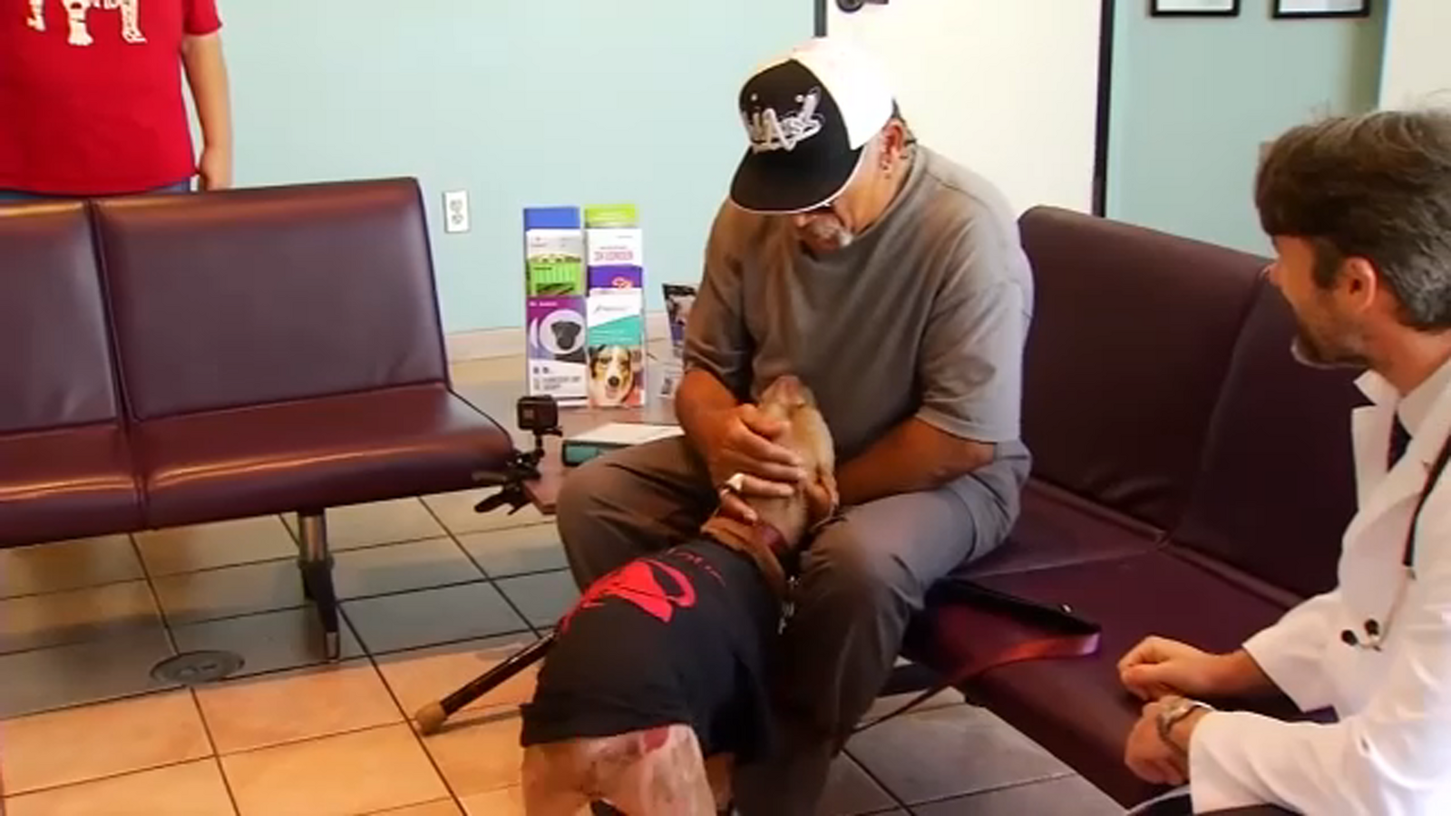 Dos Palos dog burned in fire goes home after weeks-long hospital stay - Vimarsana News