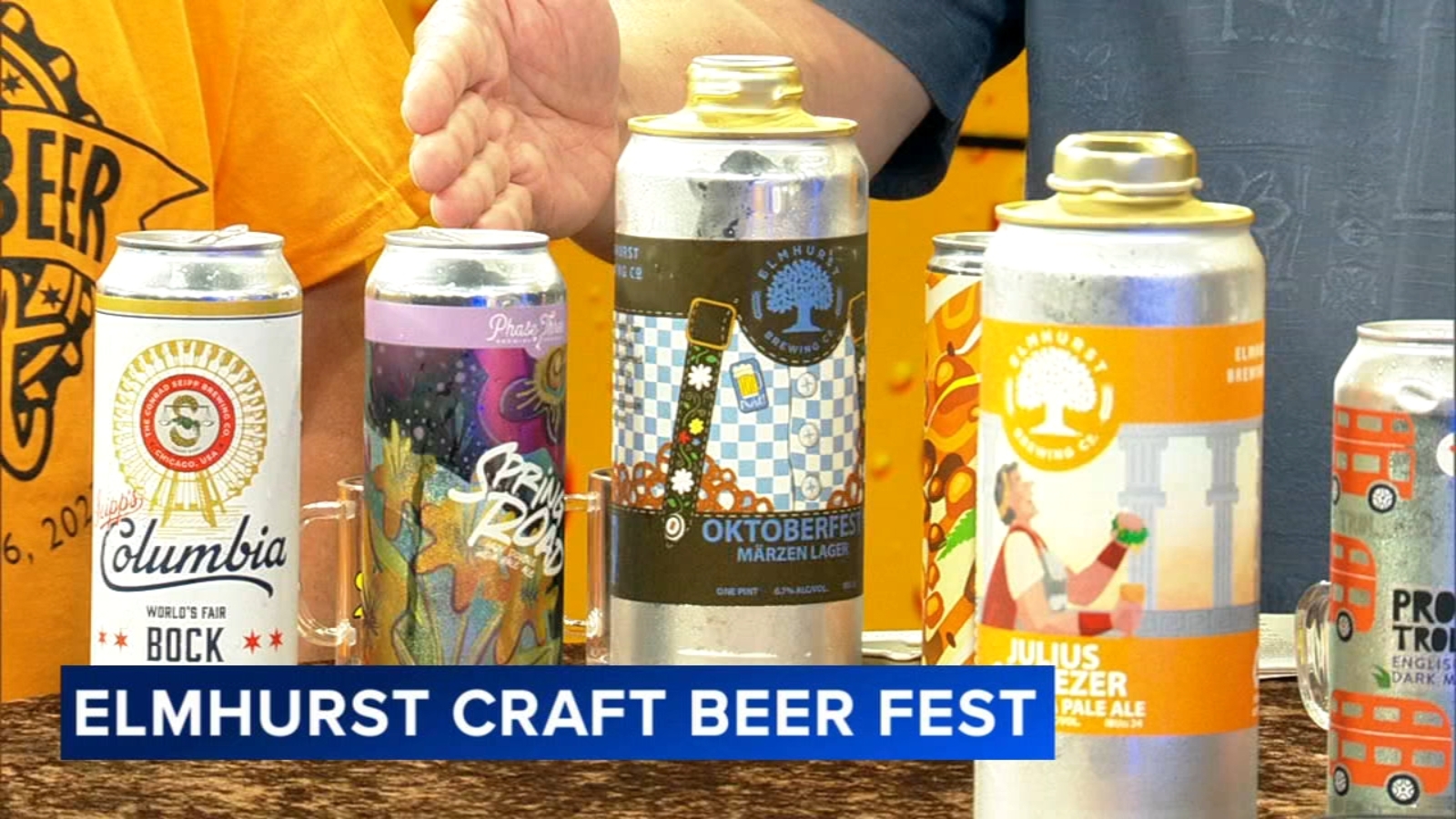 Elmhurst beer festival Craft Beer Fest to raise money for programs and