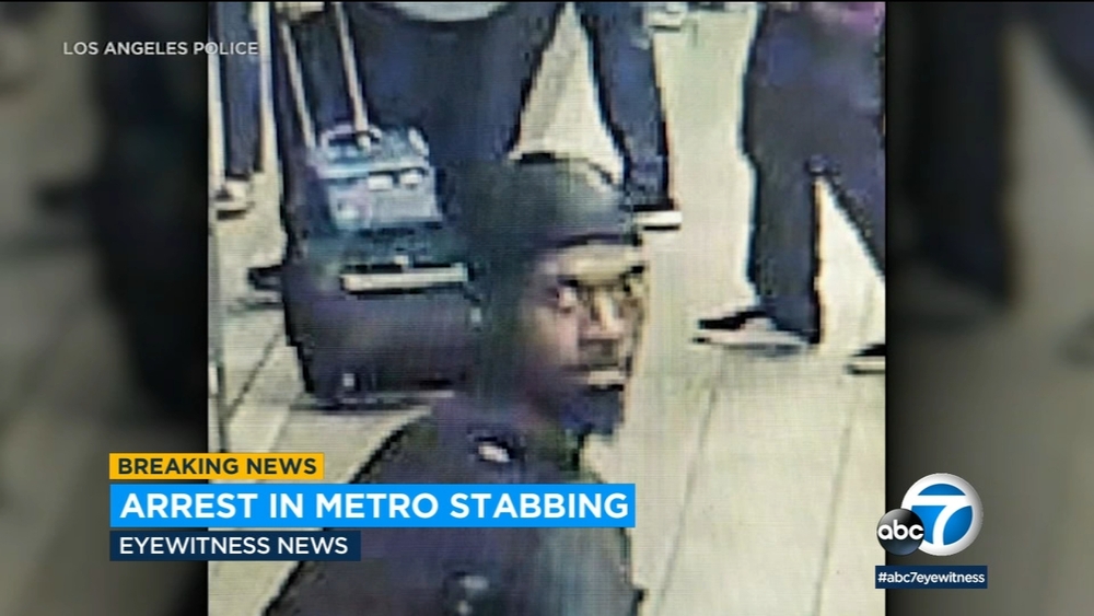 Suspect arrested in fatal stabbing of passenger on Metro train in DTLA