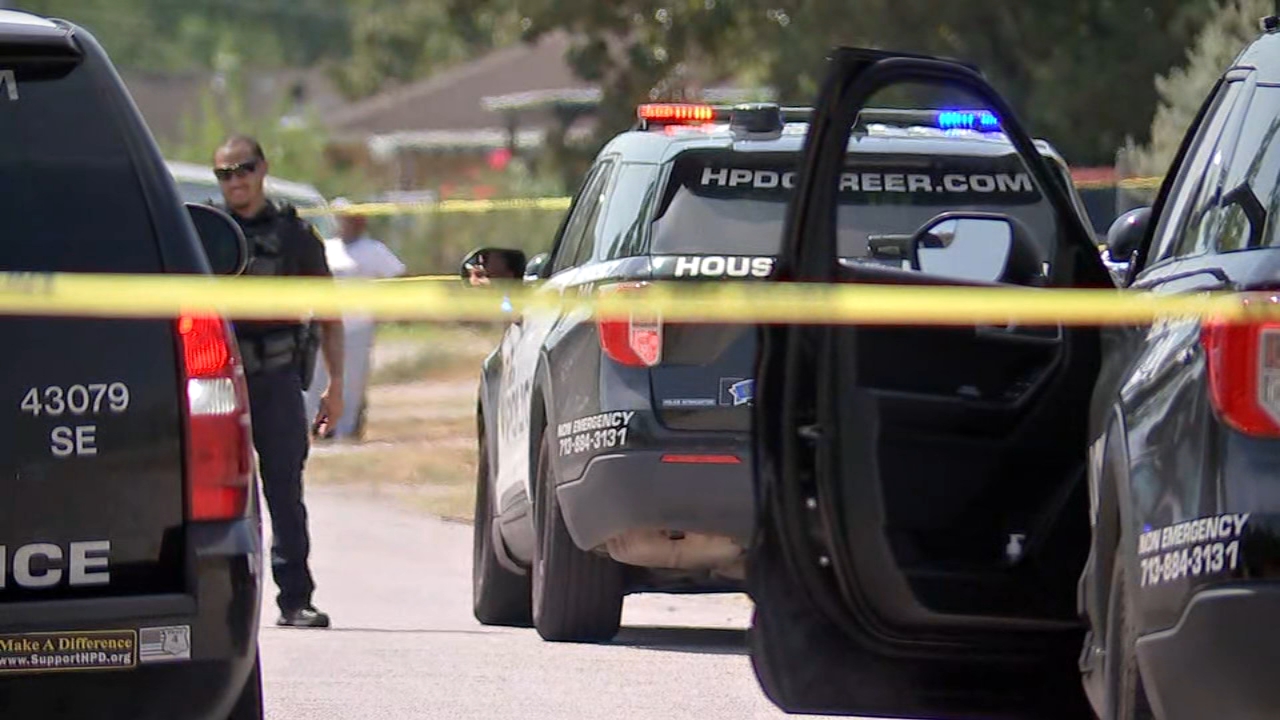 Relative in custody after man fatally shot in Sunnyside area, HPD says
