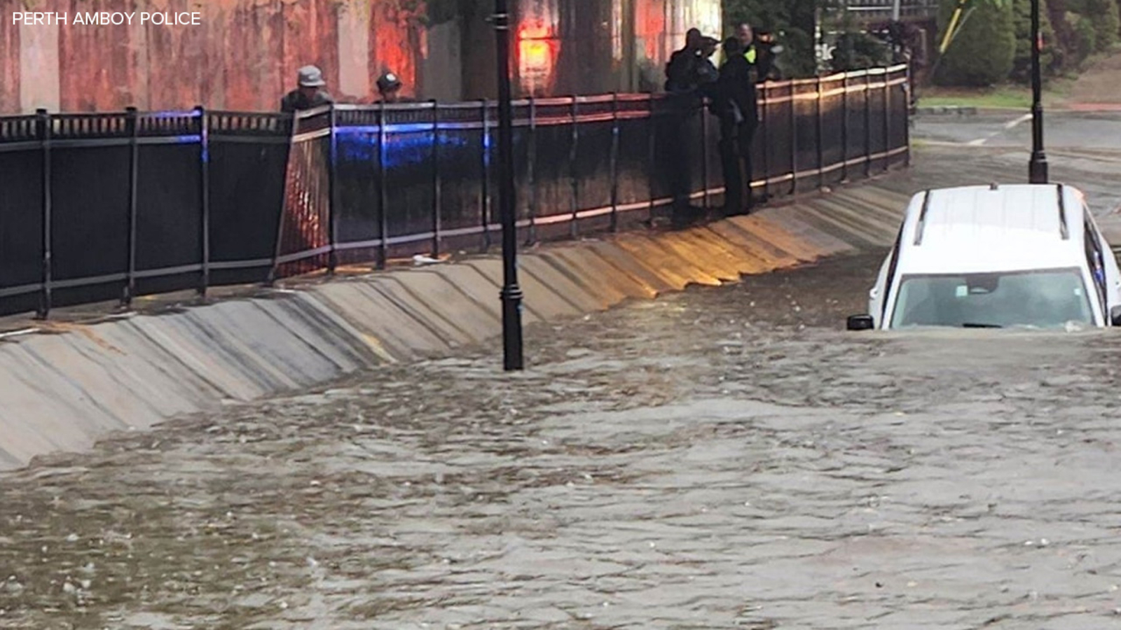 Woman and her pet rescued by police from car submerged in floodwater in