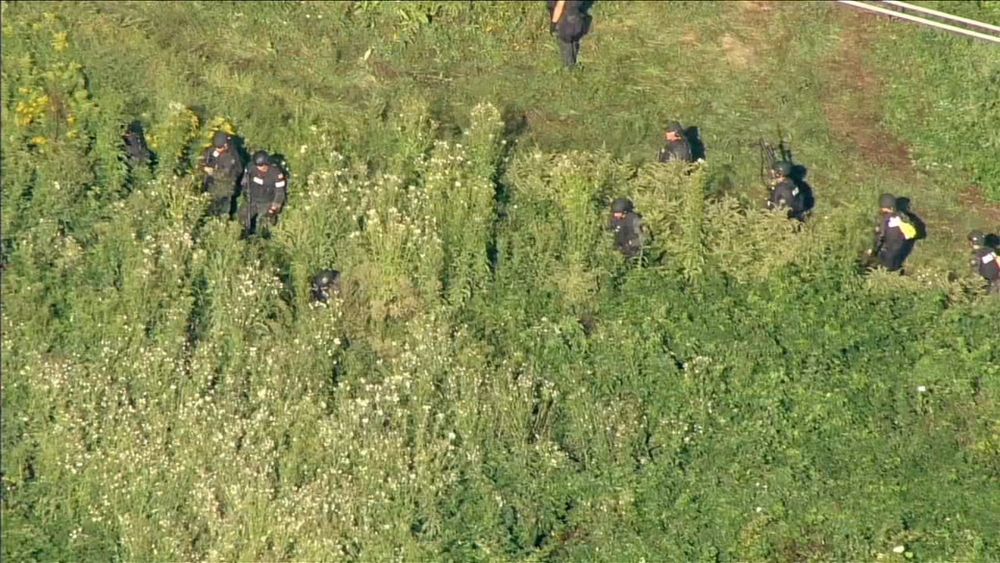 Chopper 6 flies over search for escaped murderer Danelo Cavalcante