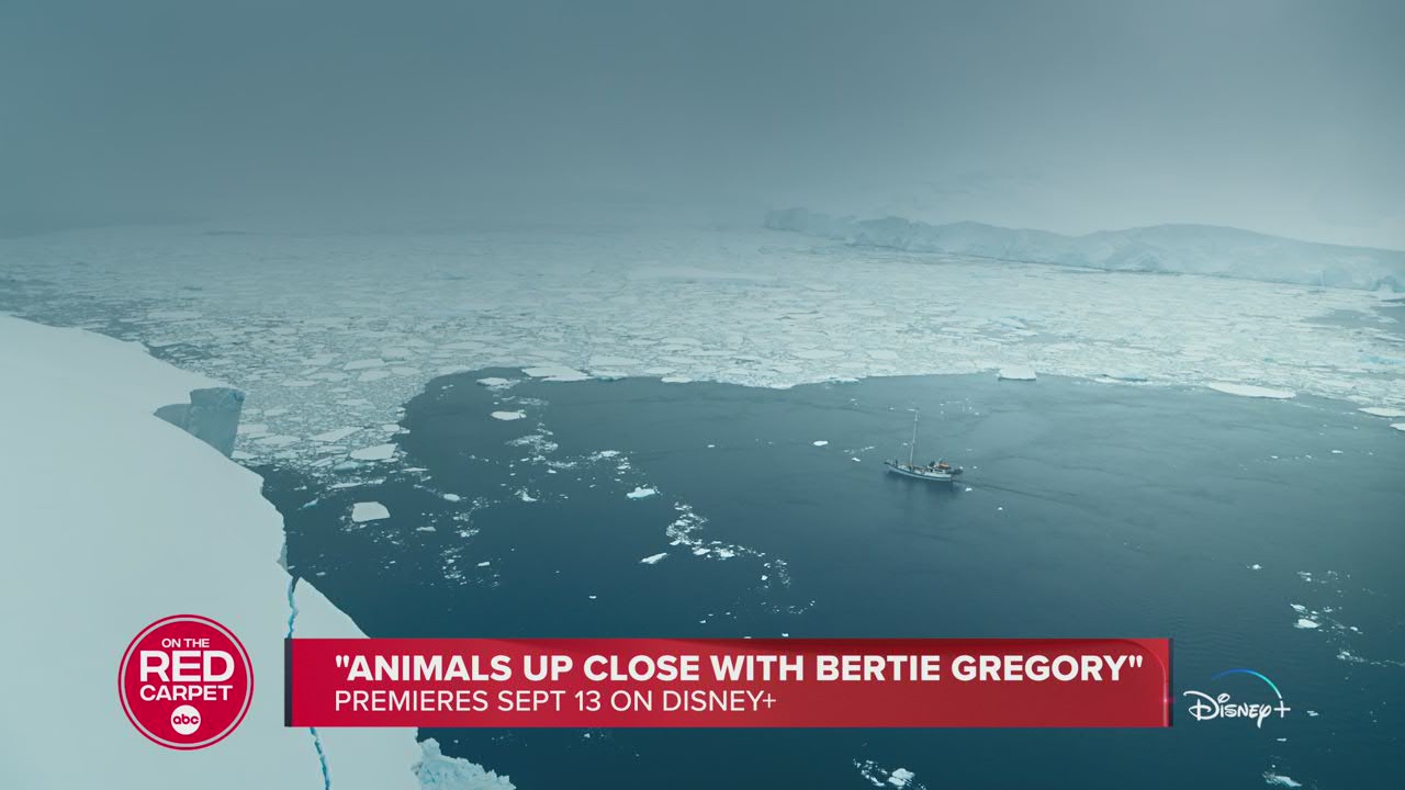 Extraordinary adventures! Epic wildlife encounters! Bertie Gregory does it all! - Vimarsana News