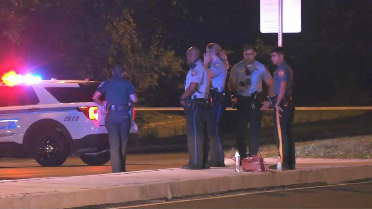 Suspect arrested for hit-and-run that left a mother of two dead