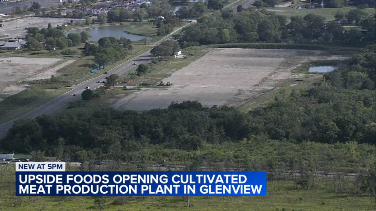 Cultivated meat company UPSIDE Foods to open commercial plant in Glenview