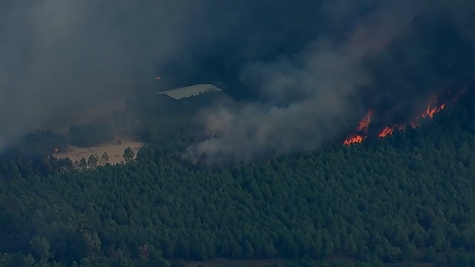 Texas Game Preserve Fire: Why Florida firefighters were called to help battle 4,400-acre wildfire in Walker County - Vimarsana News
