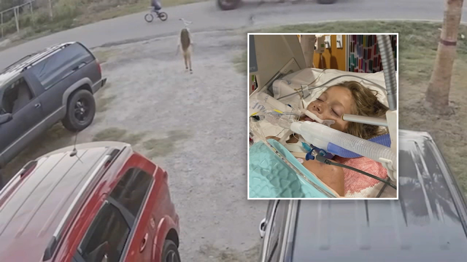Child killed: Family of Benjamin Dennis asking for traffic light at intersection in San Leon after boy hit and killed by truck - Vimarsana News