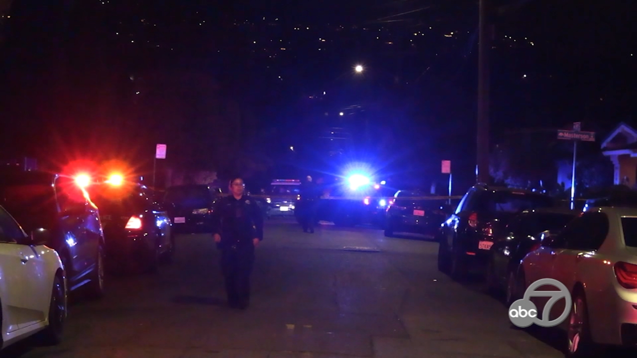 PHOTOS Rescued baby sea otter ready for March Madness ABC7 San Francisco