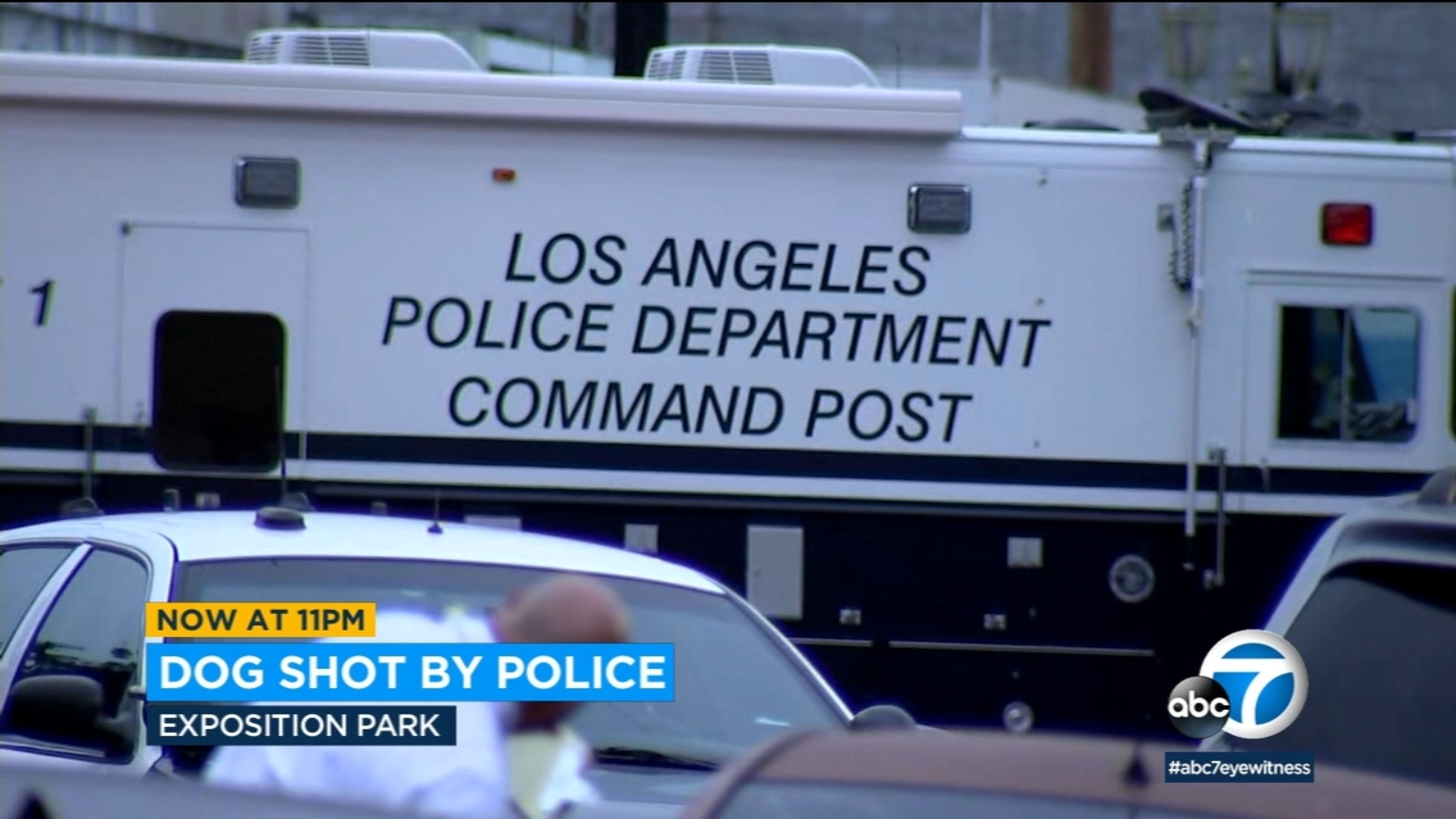 'Vicious' dog shot by police during assault call, LAPD says - ABC7 Los ...