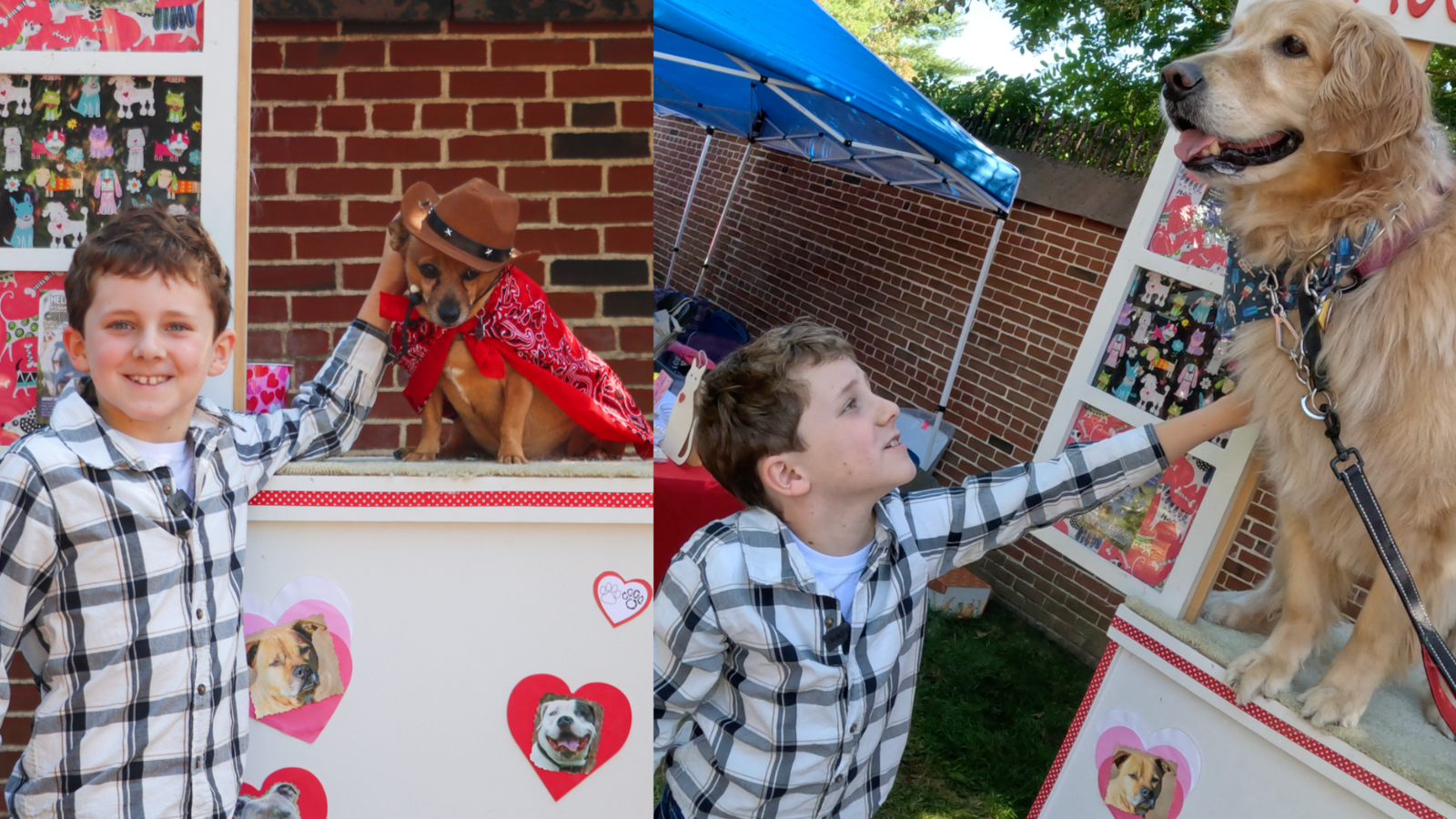 8yearold starts youth group bringing a bright future for animals