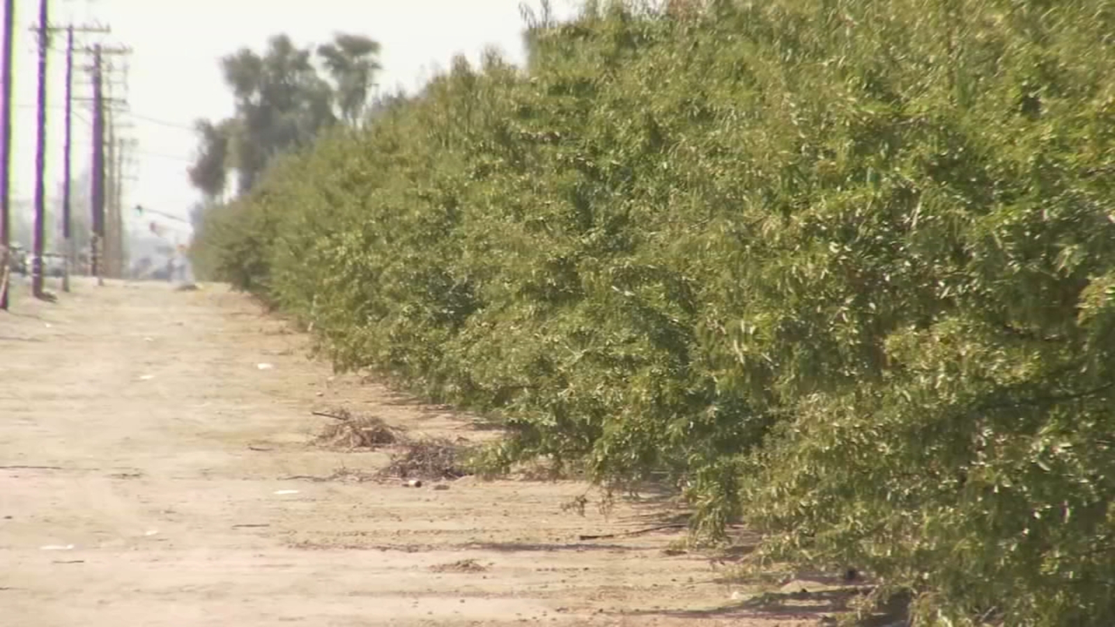 New development proposal could bring thousands of homes to Visalia