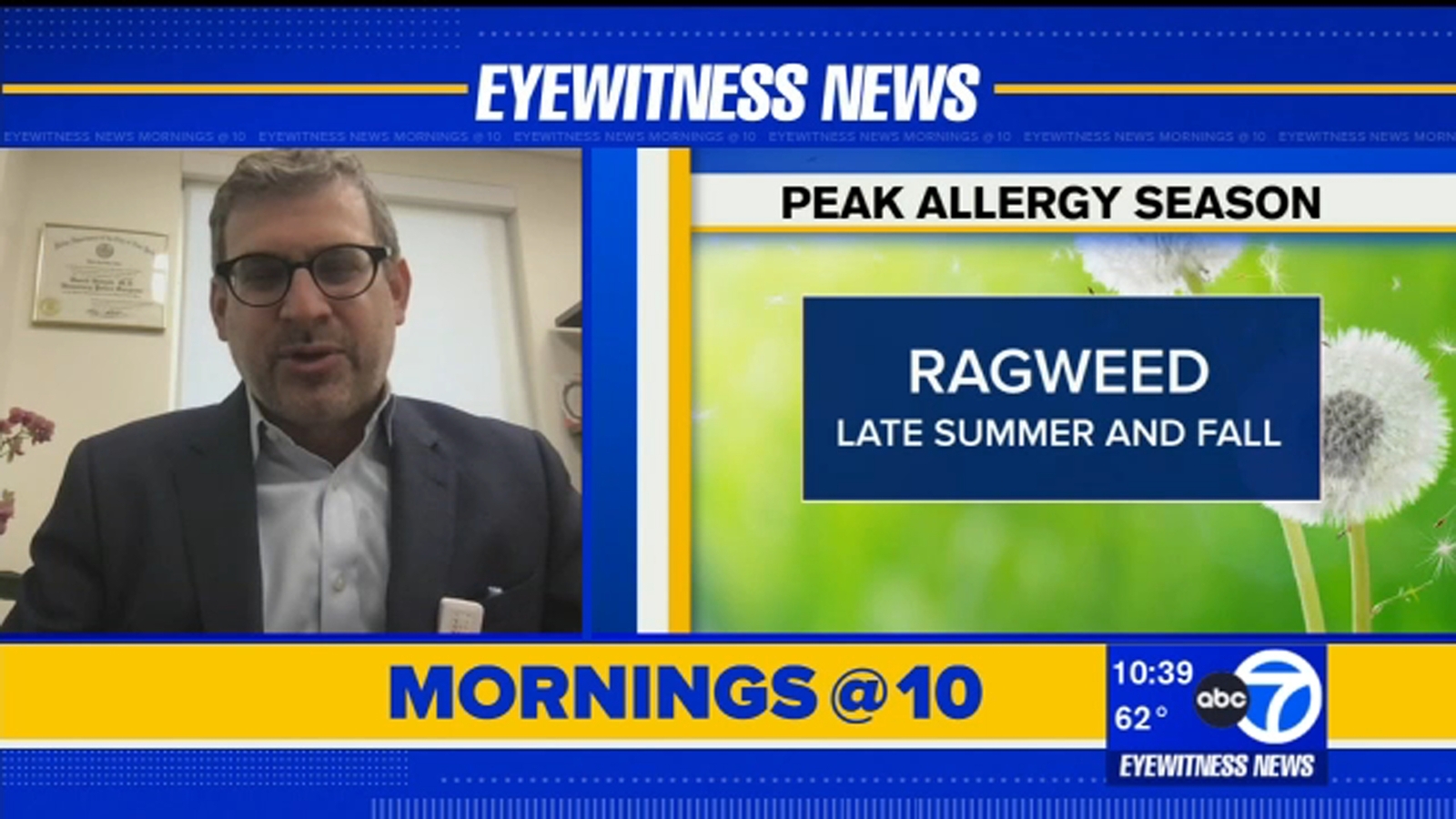 Fall allergy season is here! What you need to know ABC7 New York