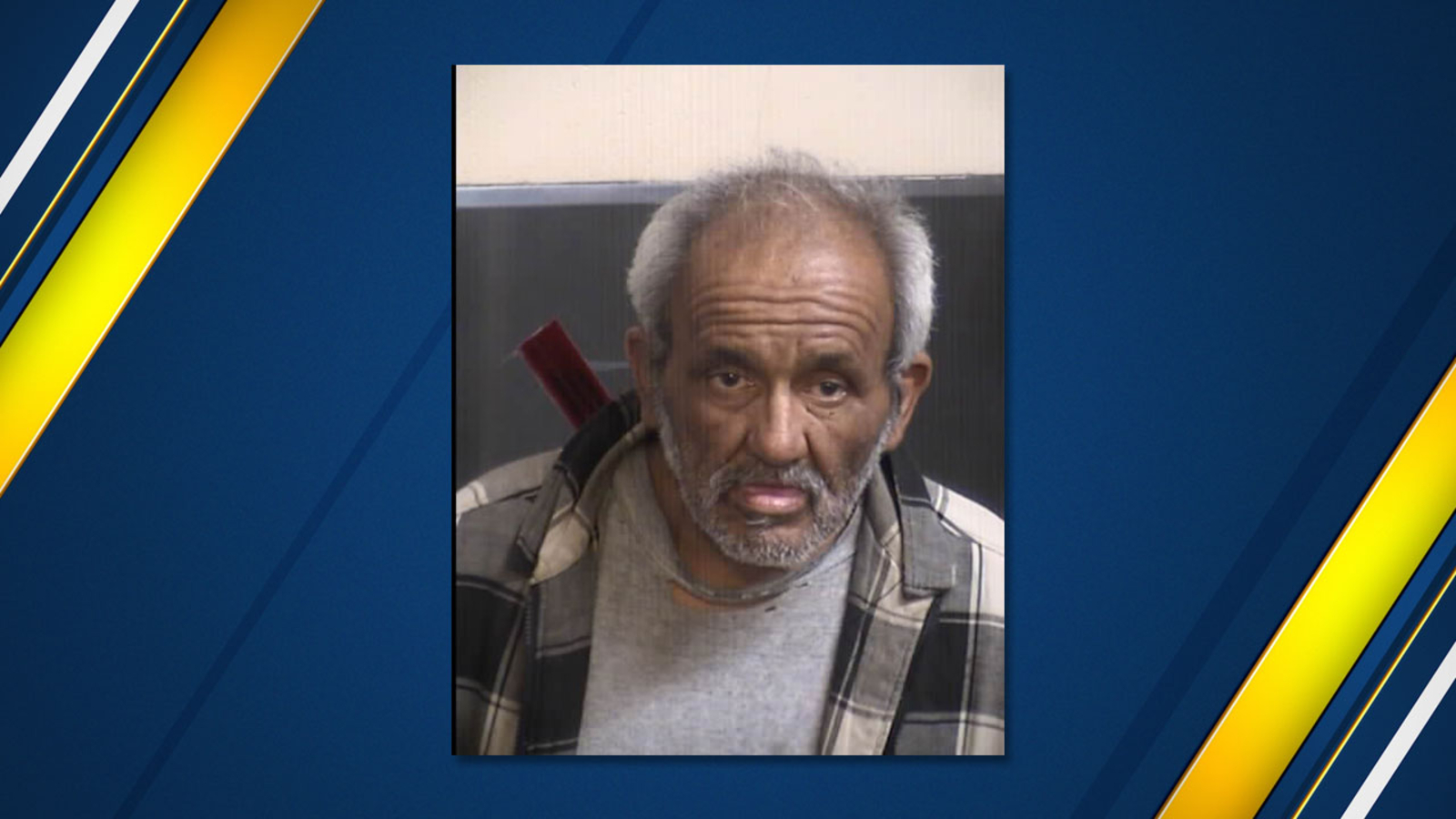 Driver arrested for hitting and killing 77-year-old man using walker in ...