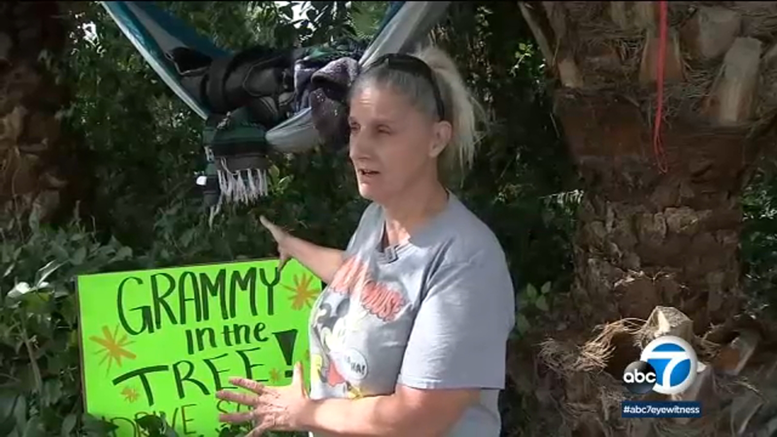 East Highland grandmother sets up hammock in trees to protect them from removal - Vimarsana News
