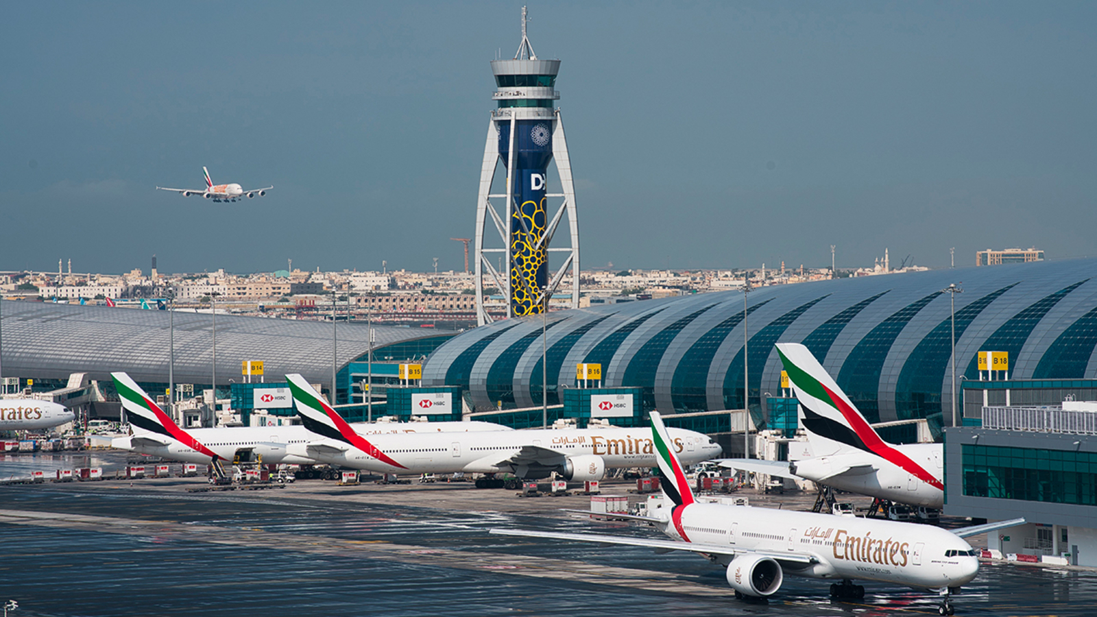 New York college student sentenced to year in prison in Dubai after