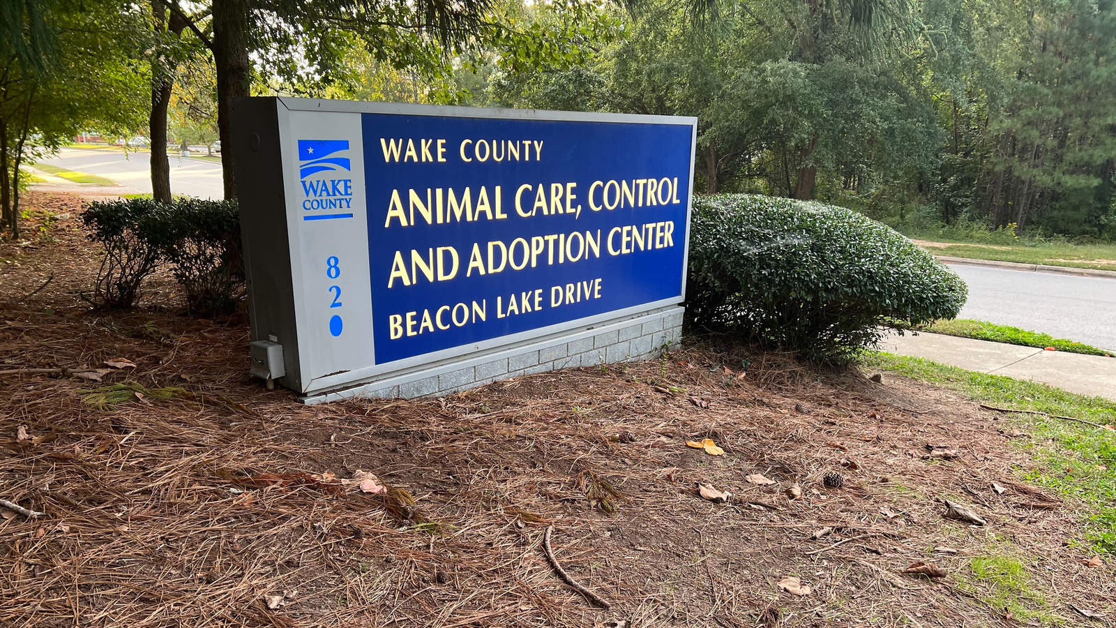 Dog flu outbreak at Wake County Animal Center leads to closure for 35 days - Vimarsana News