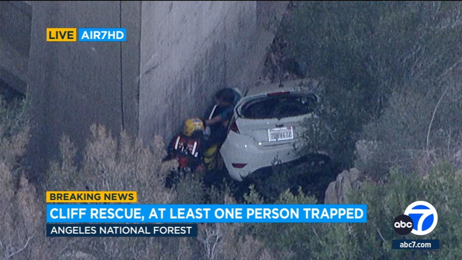 Driver rescued after plunging off cliff in Angeles National Forest - Vimarsana News