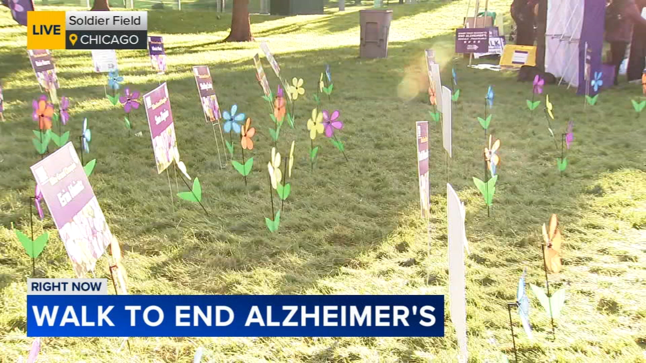 Walk to End Alzheimer's steps off at Soldier Field