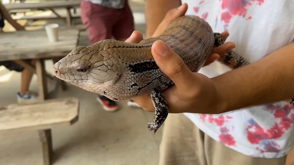 This hands-on zoological park features 35 species of exotic animals