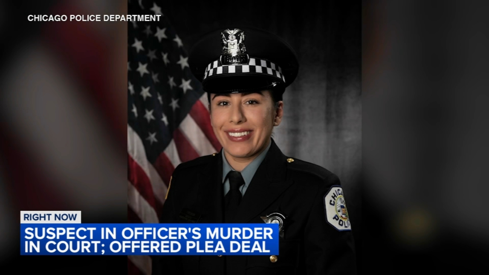 Chicago shooting: 1 of 2 brothers charged in murder of Chicago Police Officer Ella French expected to accept plea deal - Vimarsana News