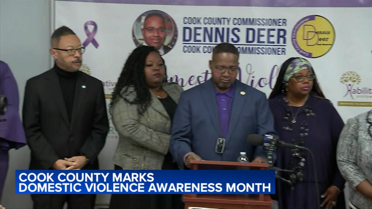Cook County leaders gather to discuss domestic violence prevention