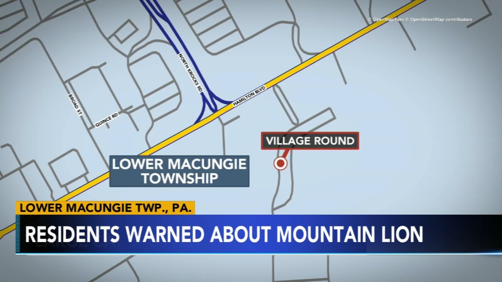 Possible mountain lion spotted in Lower Macungie Township, Lehigh(02)