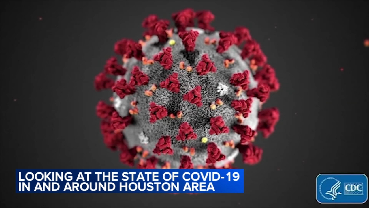 Counts of positive COVID-19 cases stops in Harris County
