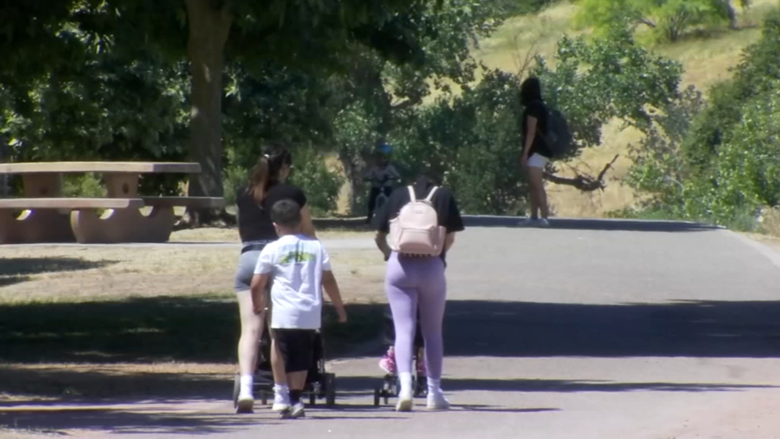 Staying on top of allergies amid weather changes ABC30 Fresno