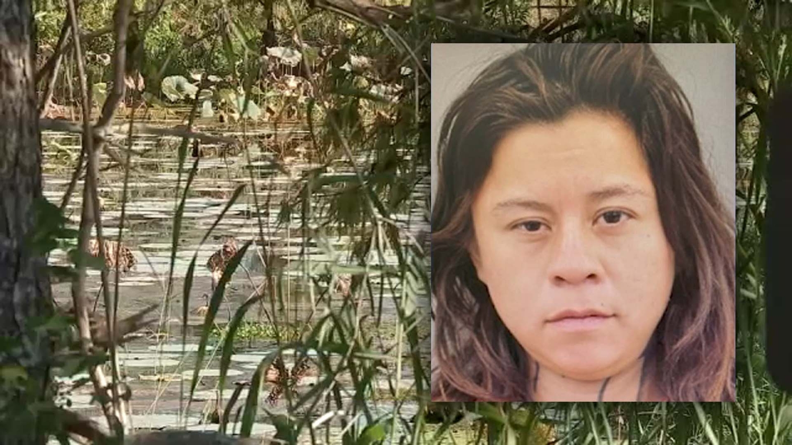 Stephanie Carrizal killed: Questions go unanswered months after woman's body found in the Sheldon Reservoir - Vimarsana News