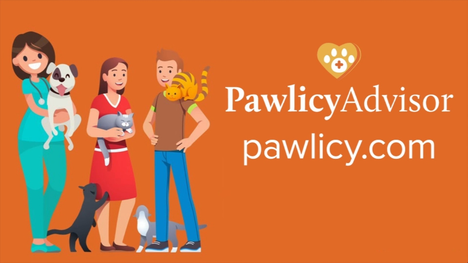 Keeping your pets safe with home decor during holidays ABC30 Fresno