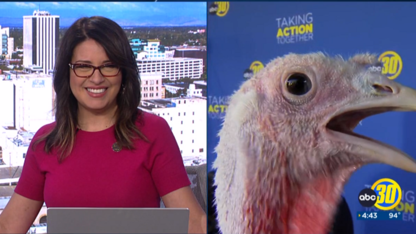 FFA turkey saved from Thanksgiving after capturing hearts at Big Fresno Fair - Vimarsana News